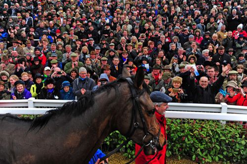 Coneygree