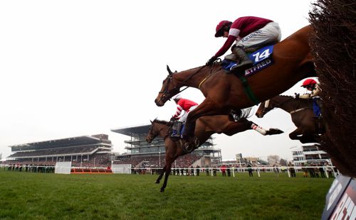 Road To Riches at Cheltenham in 2015