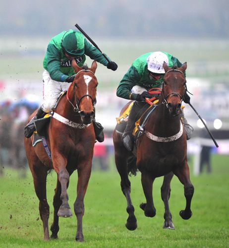 Peace And Co and Top Notch