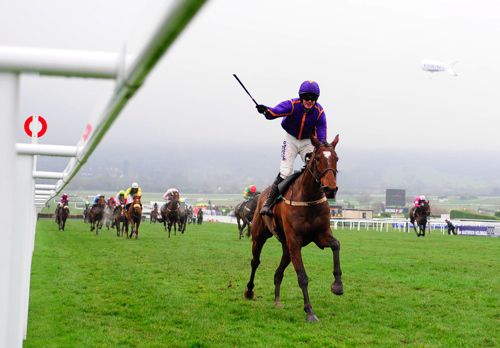Wicklow Brave