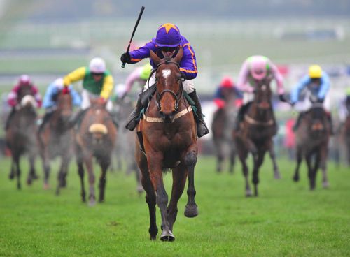 Wicklow Brave pictured on his way to victory at Cheltenham 