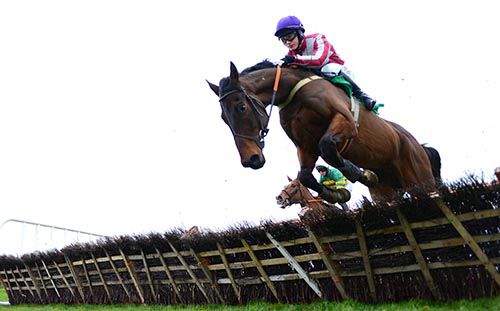 Grand Partner in action at Navan