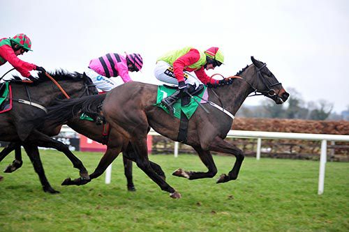 Art Of Security gets his head in front