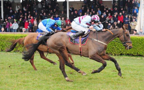 Rubi Light pictured on his way to victory at Wexford in March