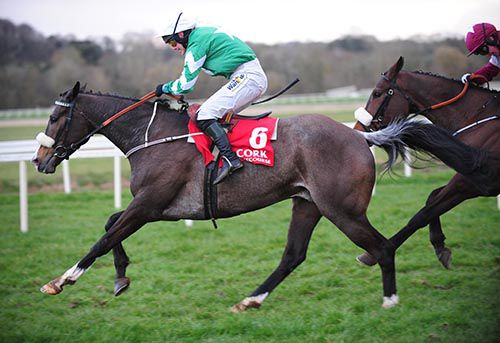 Mall Dini and Liz Lalor win the bumper at Cork