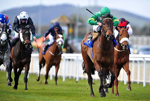 Ramone is ridden out by Shane Foley