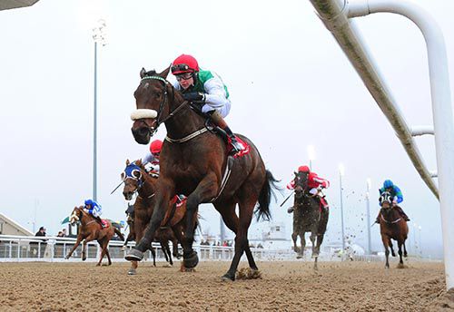 Chiclet and Gary Halpin