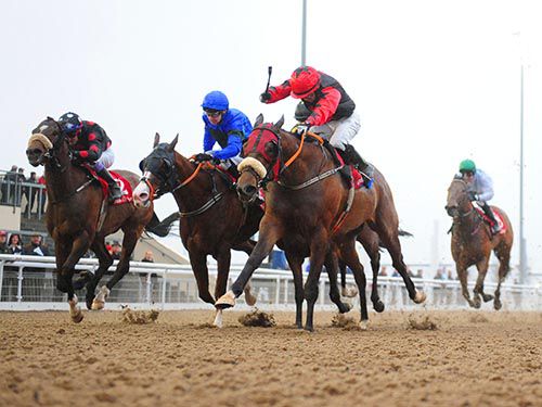 Cappadocia (Wayne Lordan, black and red) gets home from Shinyhappyjohn (centre) and Shabra Emperor