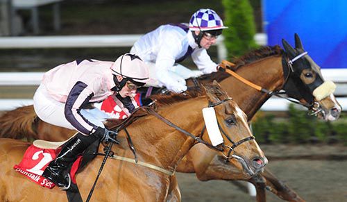 A great shot of Tooreen Legend and Billy Lee (nearside) beating Sparanai and Rory Cleary