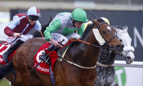 Grey Mirage and Ryan Moore winning at Lingfield