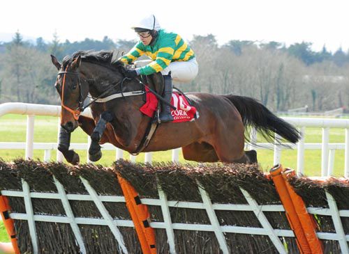 The Living Beauty winning in Cork