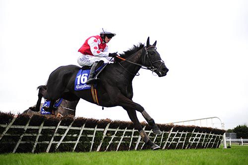Voices Of Spring impresses in Fairyhouse 