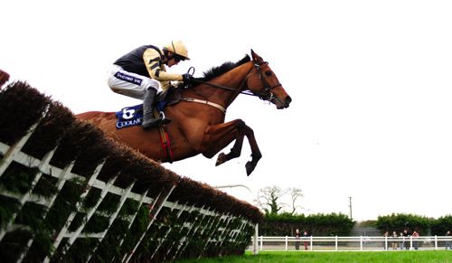 Shaneshill