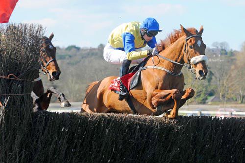 Windy Millie and Kevin Power