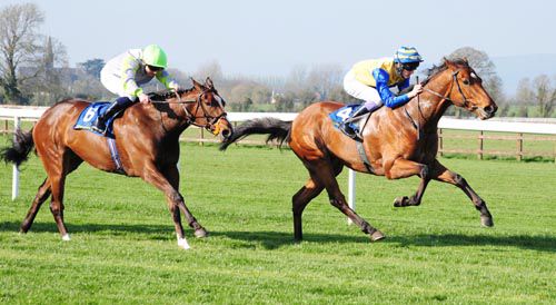 Great Wide Open, under Fran Berry, sees off Well Done Me