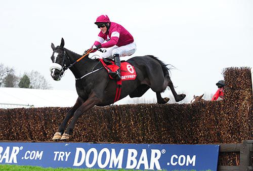 Don Cossack and Tony McCoy