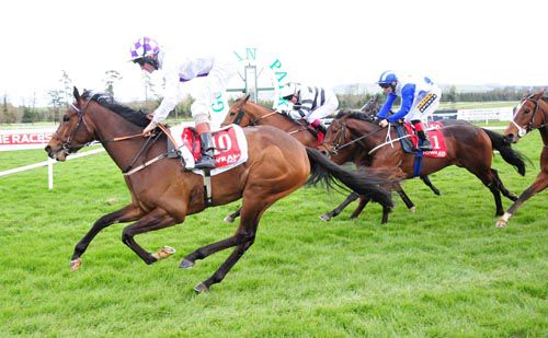 Ringside Humour pictured winning at Gowran on Saturday
