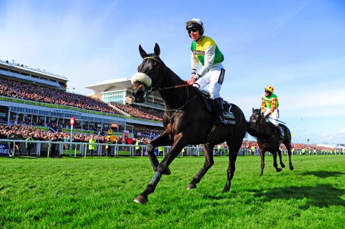 Many Clouds leads home Saint Are last year