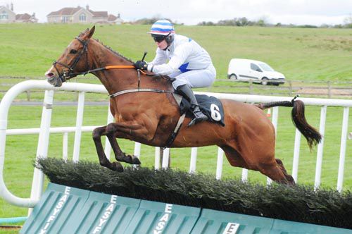 Gold Tantrum and Shane Butler