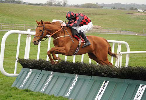Punch Bag and Andrew Lynch jump the last 