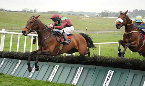  Master Appeal and Andrew Lynch clear the last 