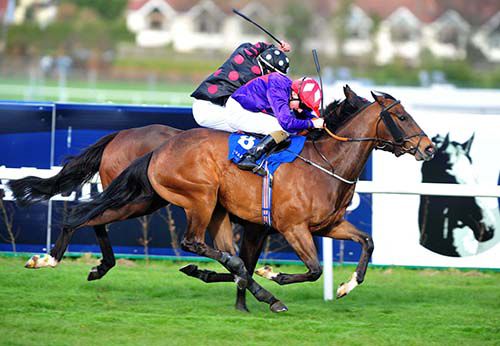 Mistiness is driven out by Chris Hayes to beat Diesel Ten