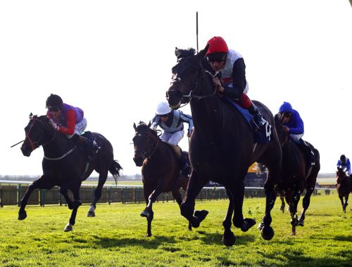 Golden Horn, near side