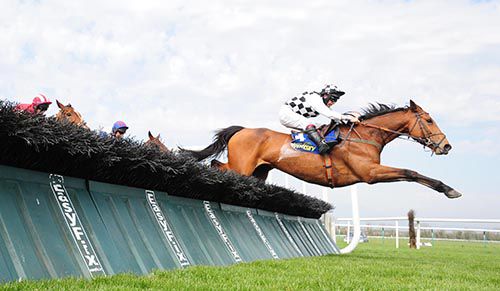 Give Her Bach pops the last in Tipperary