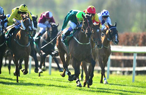 Madeira Classic and Fran Berry