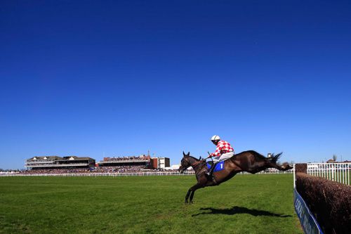 No action at Ayr tomorrow