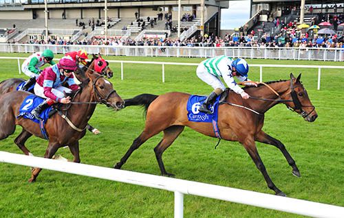 Papa's Way keeps them all at bay in the Curragh