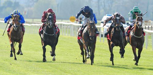 Ohh Lala (second from right) comes through to win under Tom Madden