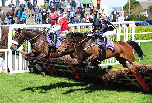 Credo Star, left, battles with The Nutcracker in Wexford