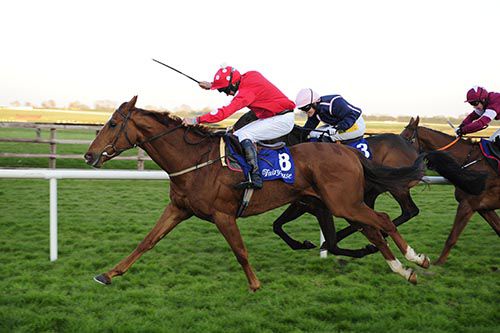 Peter The Mayo Man and David Roche win the bumper