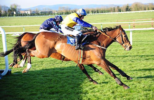 Mr Picotee and Philip Enright (near) beat Three Stars