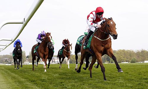 Custom Cut wins under Danny Tudhope at Sandown last Friday