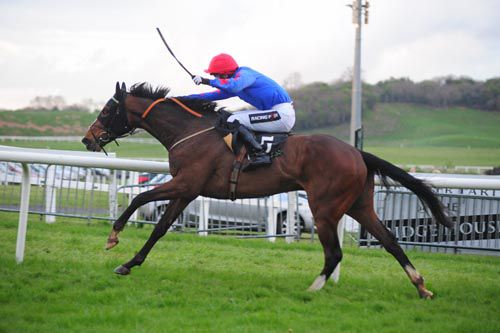 Kilkishen goes in the Midlands National today