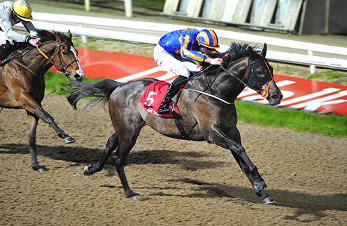 Kilimanjaro on the scent of victory in Dundalk