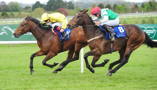 Ripples Effect, far side