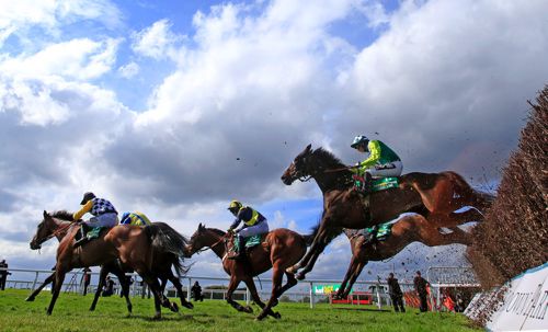 Last year's bet365 Gold Cup action.  Eventual winner Just A Par seen jumping.  He's back again today