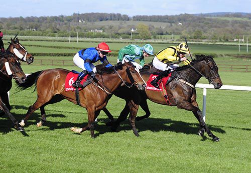 Doonard Prince and Tom Madden (yellow) pictured on their way to victory