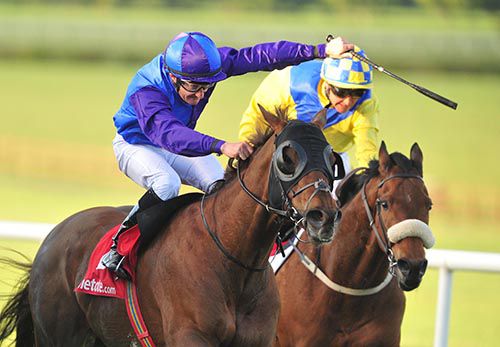 Bold Thady Quill is driven out by Shane Foley with eventual third Texas Rock in behind