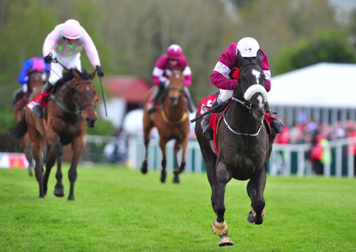 Don Cossack