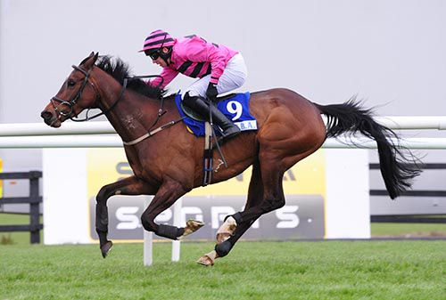 Now Let Go and Stephen Clements