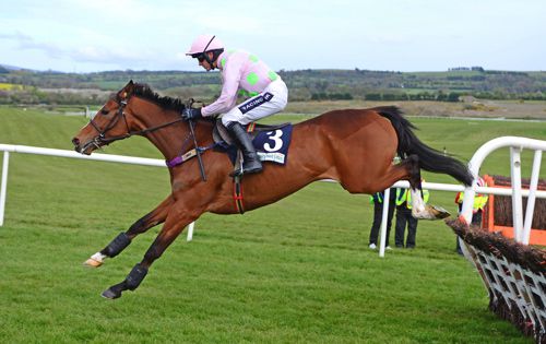 Faugheen