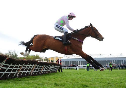 Faugheen