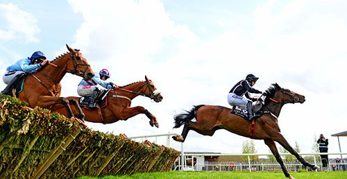 The Nutcracker leads over the last with eventual winner Space Ship (noseband) in behind