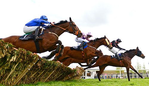 Shaiyzar (nearest) jumps the last with Diesel Ten leading