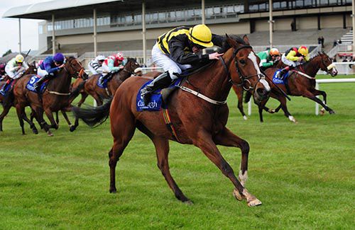 Bobby Jean winning at the Curragh, with My Painter out of camera shot on the stands' side rail
