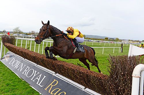 Lord Fingal jumps the last under Steven Clements